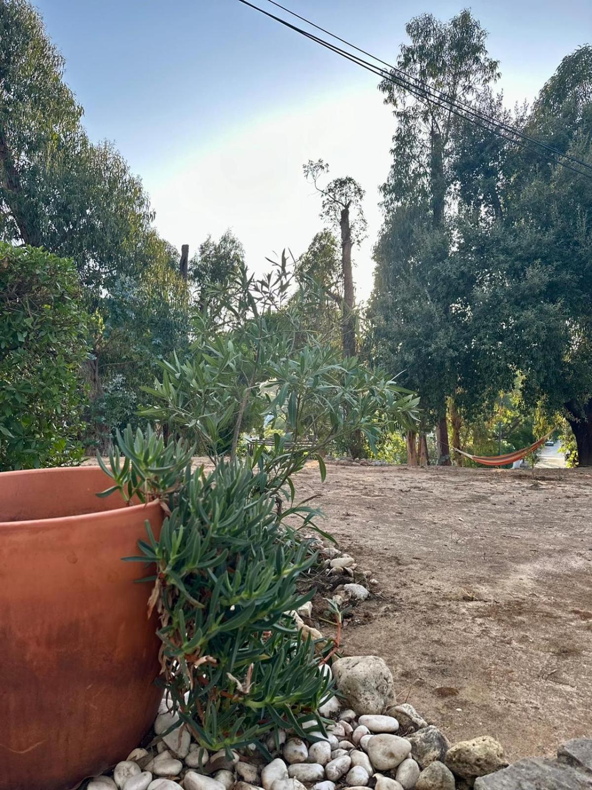 T1 With Garden Quinta Da Balaia In Apartment