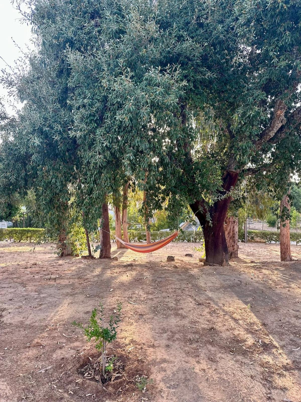 T1 With Garden Quinta Da Balaia In Apartment *